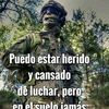 josecaceres722