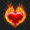 yungheart