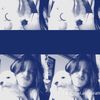 mari.angelina10