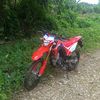 .mol316