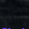 bushraa1411