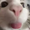 xyyfayee_