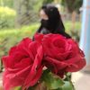 shovaafrin17