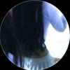sharxil.th