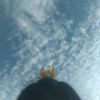 itzzme.belllw