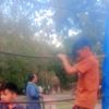 ayaan.alli28