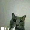 rauletti20