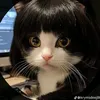 kieutrang549