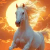 imransharif467