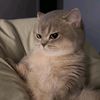 nanasmom83