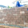 adaadissemakula21