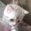 lllllr88
