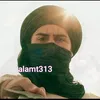 alamt313