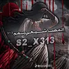 s2_x313.x