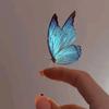 butterfly_effect39