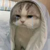 huyen_chinh8567