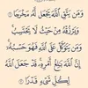 user9180390577381