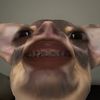_j0s3phz_559