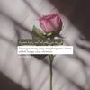 username070317mil