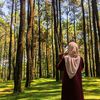ســــفـــنـــة