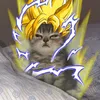 gokusaiyancat