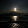 user1948131610453