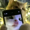 cy_uonii