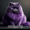 skibidi.chervecho