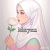 merisis2