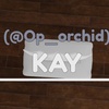 kay_zh3_zandyworldplayer