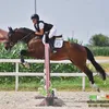 auri_588