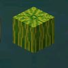 user5877029233108