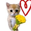 cristian.saninbia0