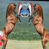 user73600308378774