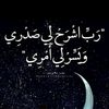 user79116280269191