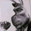joel.alesci7