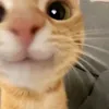 kluddd3