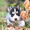 thao.ngan.jimster
