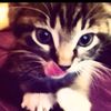 raa_strawberry2