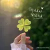 c.b.hng.ni70