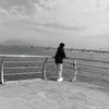 davidney240