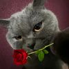ijustrokeup_14
