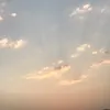 saya_6776
