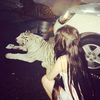 sofi.kar_25.1