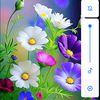 najma.akther244