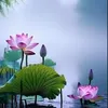 nguyn.sn7793
