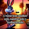 caballero.solitar274
