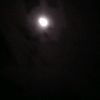 pandu_984