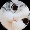 fatenchebbi7