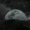 amro.alghrefi